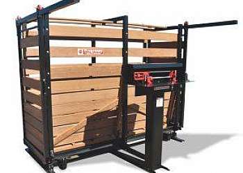 Balança bovina Balança bovina