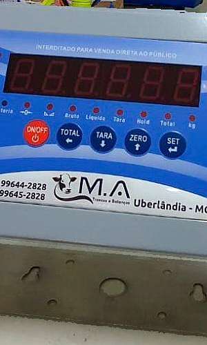 balança de pesar gado preço balança de pesar gado preço