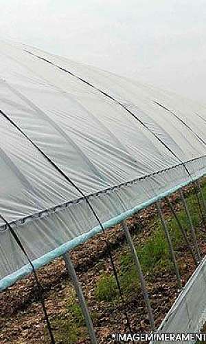 Lona agrícola Lona agrícola