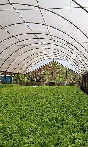 lonas agrícolas lonas agrícolas