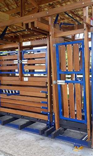 tronco bovino tronco bovino