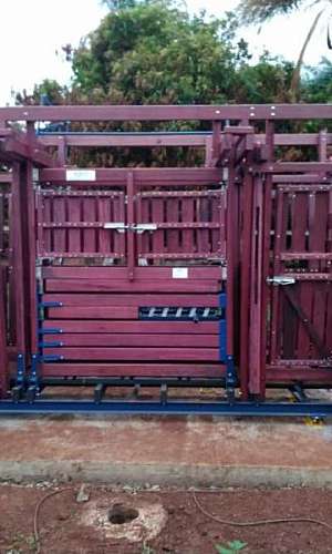 tronco brete de contenção bovina tronco brete de contenção bovina