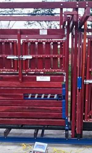 tronco para vacinar gado preço tronco para vacinar gado preço
